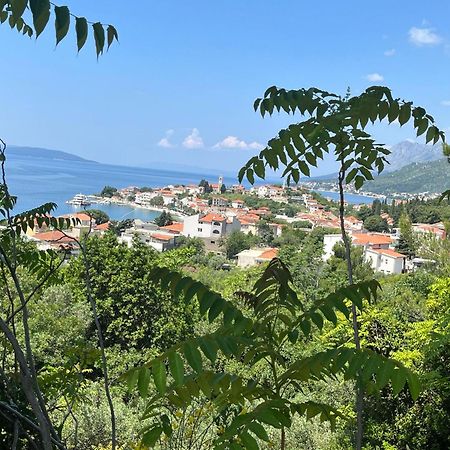 Apartment Davor Gradac  Zewnętrze zdjęcie