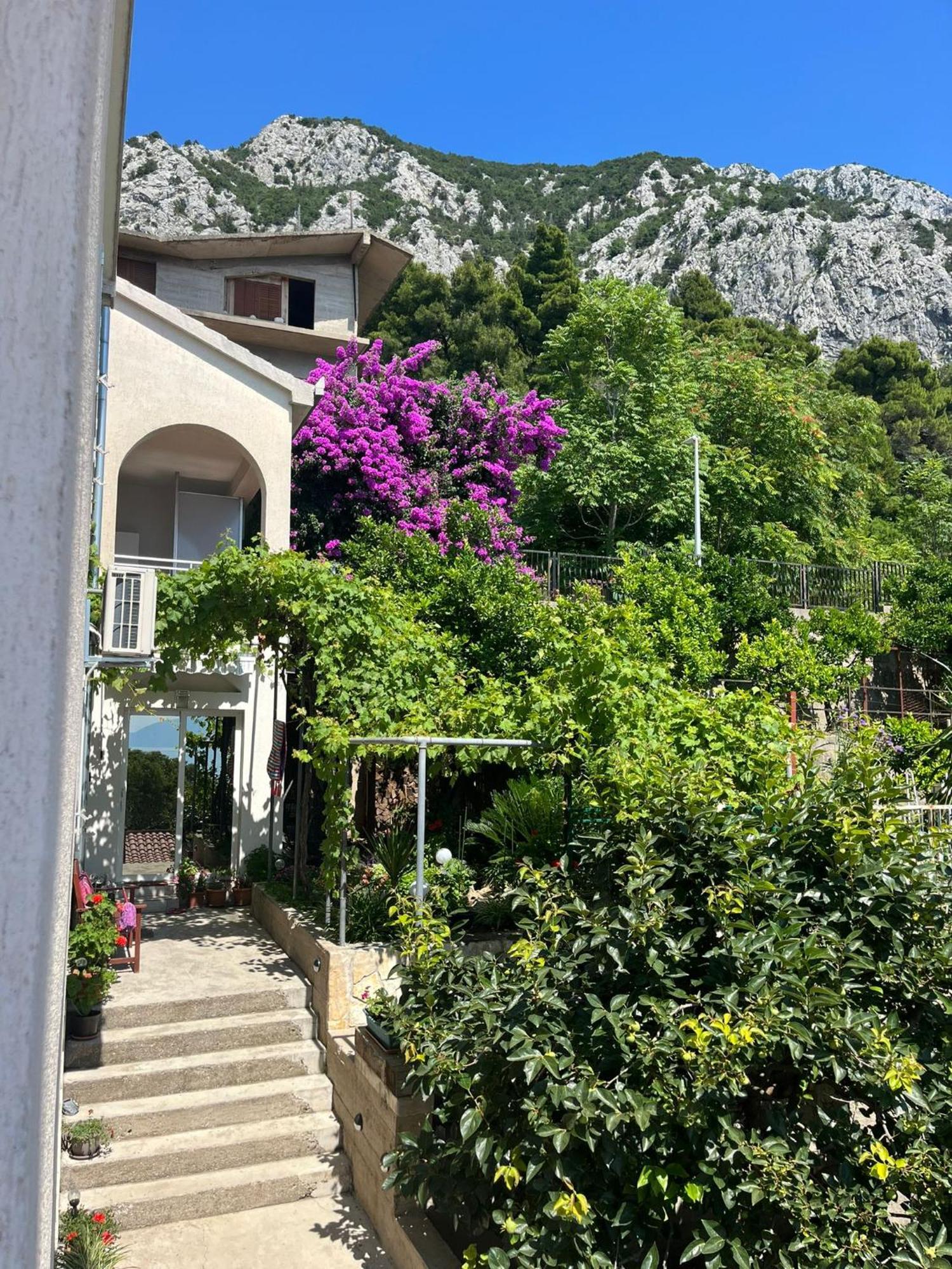 Apartment Davor Gradac  Zewnętrze zdjęcie