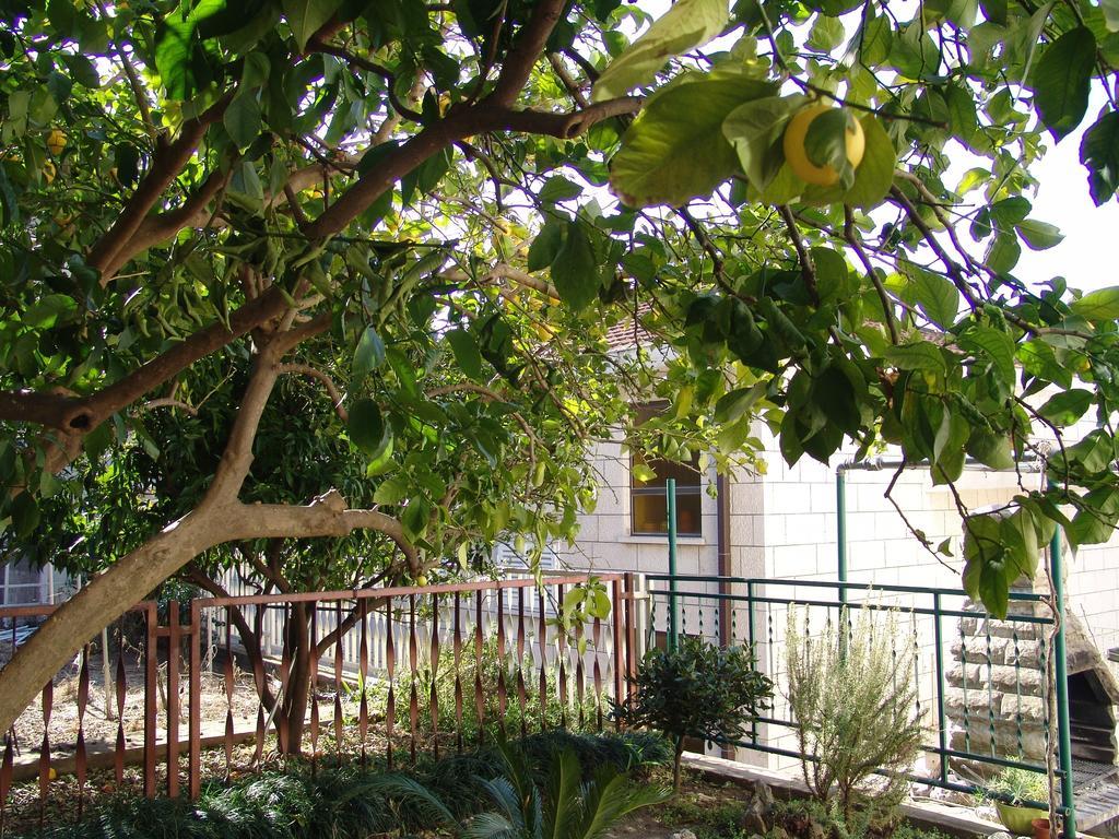 Apartment Davor Gradac  Pokój zdjęcie